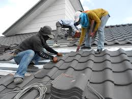 Best Gutter Installation and Repair  in North Alamo, TX